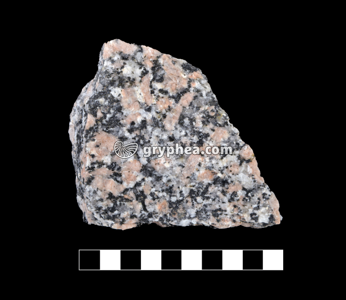 Granite rose avec échelle - gryphea.com